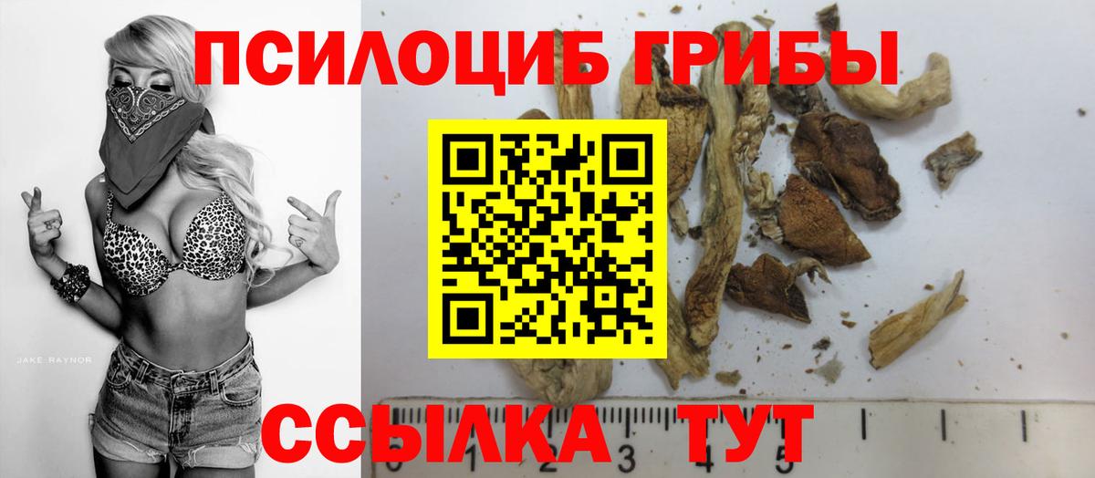 Борисоглебск  Галлюциногенные грибы ЛСД  Псилоцибиновые грибы мухоморы  Вход с VPN 